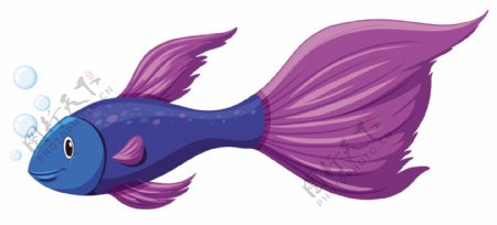 紫色的金鱼
