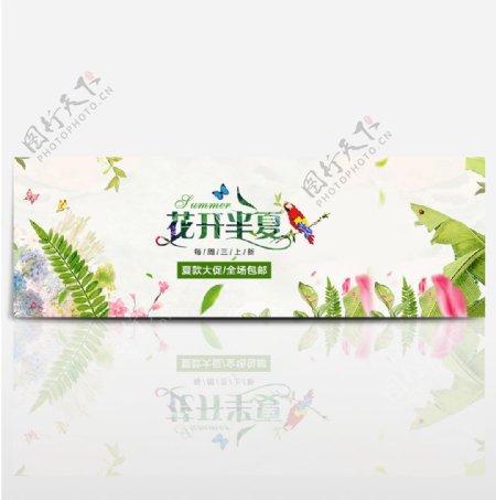淘宝电商夏季绿色花鸟海报banner背景