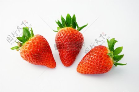 青涩的草莓