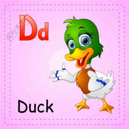 鸭子动物英语单词图片