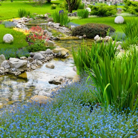 小溪鲜花风景图片