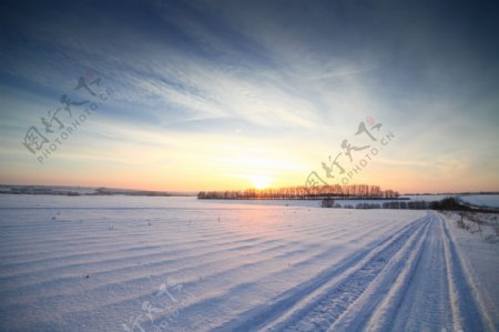 冬天雪地美景图片