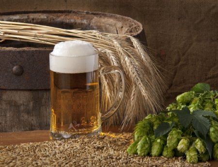 小麦与啤酒素材图片