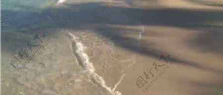 阳光沙滩小浪潮树影实拍高清视频素材