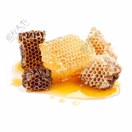 蜂窝蜂蜜元素