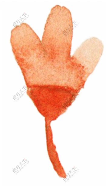 钝角枝桠橘红图片素材