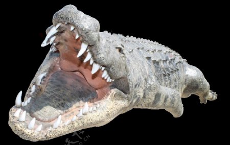 鳄鱼嘴巴图片免抠png透明图层素材