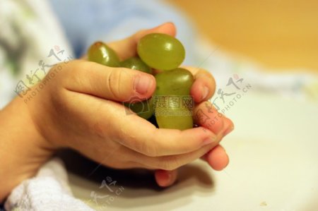 手中的绿葡萄