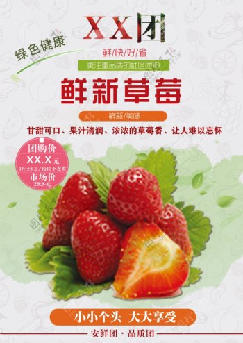 XX团草莓水果海报