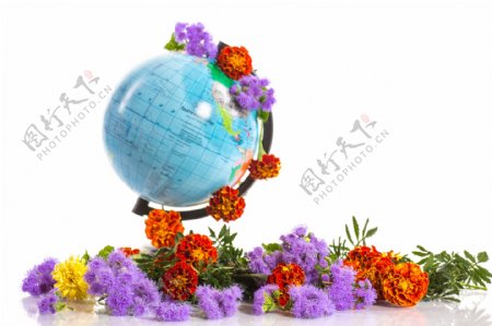 地球仪和彩色花朵图片