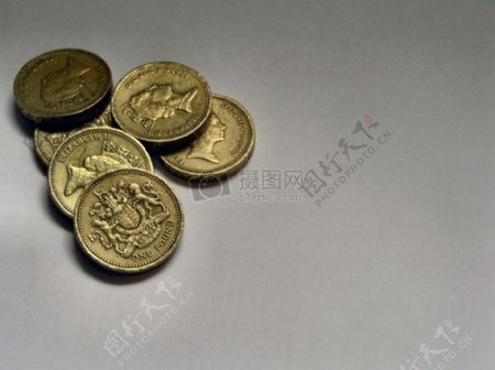 硬币和现金普世2