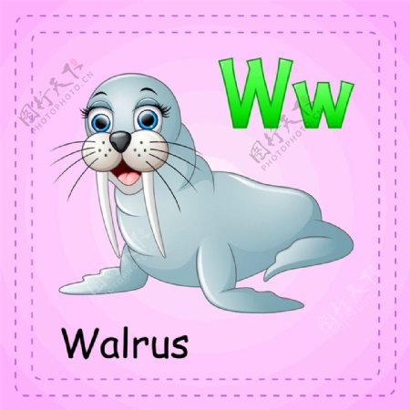 海狮英词单词图片