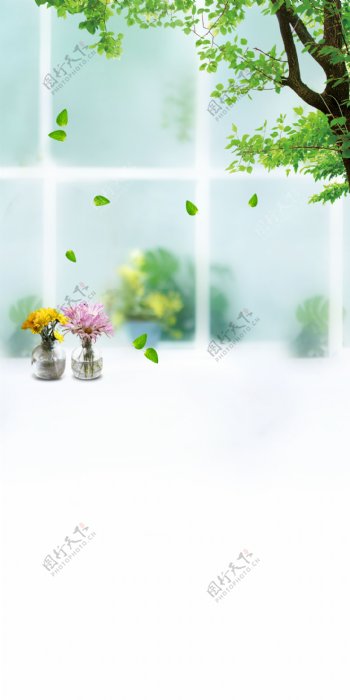 绿色树叶与花瓶等影楼摄影背景图片