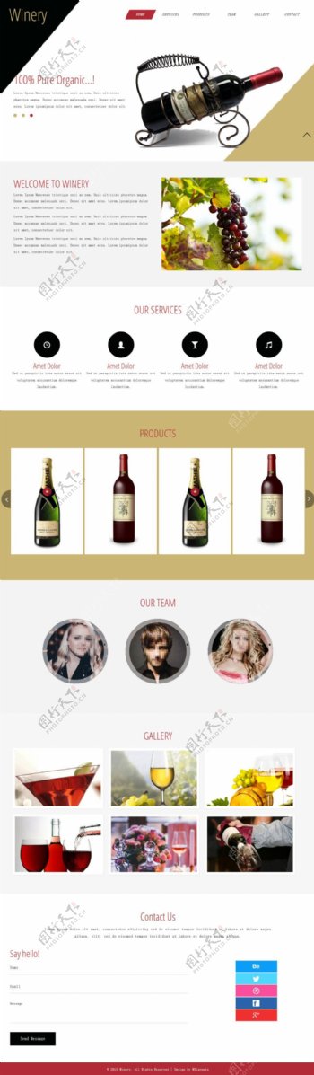 葡萄酒品牌介绍响应式网页模板