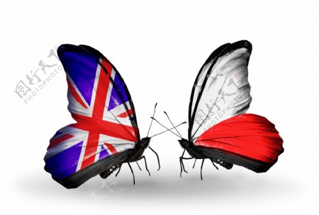 英国国旗与蝴蝶图片