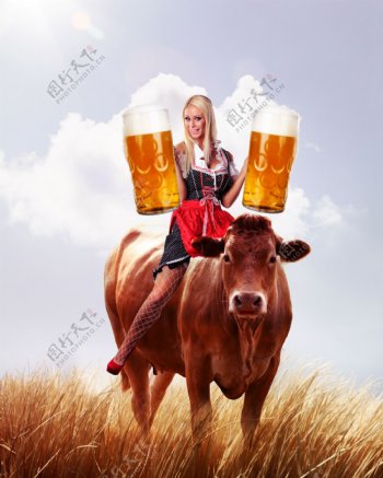 牛背上拿着啤酒的美女图片