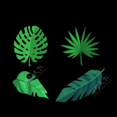 四种叶子插画免抠png透明图层素材