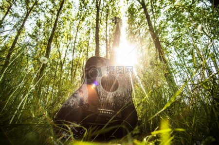 森林林木草光中阳光音乐黑色字符串乐器吉他阳光伊瓦涅斯
