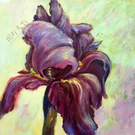 彩绘紫色花朵装饰画