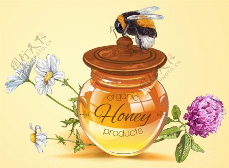 蜂蜜和蜜蜂