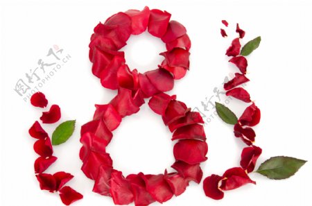 玫瑰花组成的数字8图片