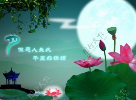 月圆中秋节日素材图片