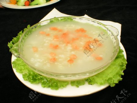 冰汁血蛤图片