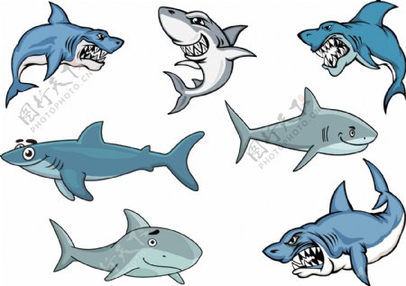 各种表情姿态的大鲨鱼