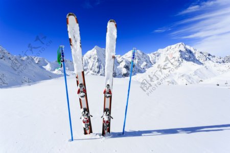 雪橇滑雪板摄影图片