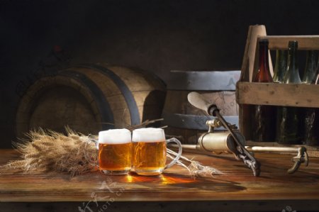 酒窖与啤酒图片
