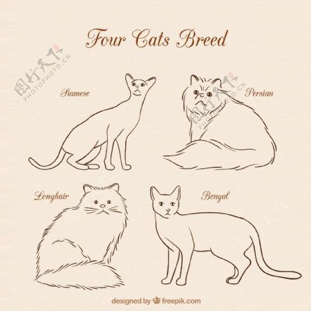 4款手绘线条宠物猫咪矢量素材