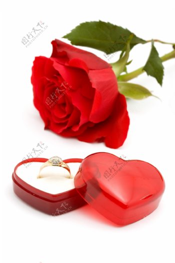 心形饰盒和玫瑰花图片