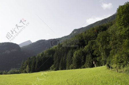 山树山奥地利山绿色山