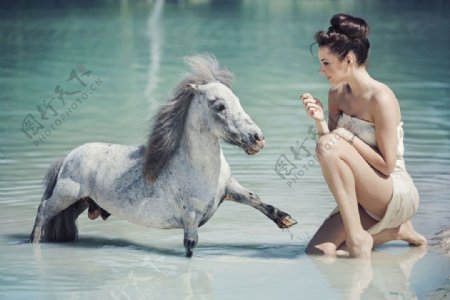 美女与河里的马图片