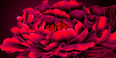 红色花朵装饰画
