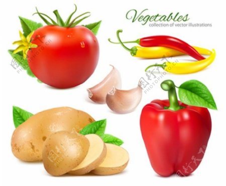 新鲜蔬菜背景图