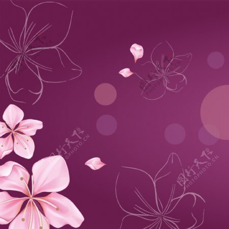 清新紫红色背景花瓣装饰画
