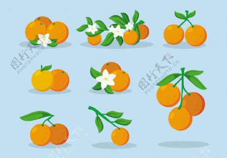 手绘橘子水果素材