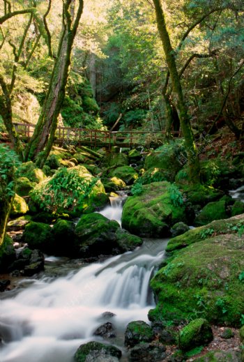 青山绿水瀑布美景图片