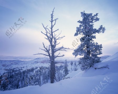 冬季风光背景素材图片