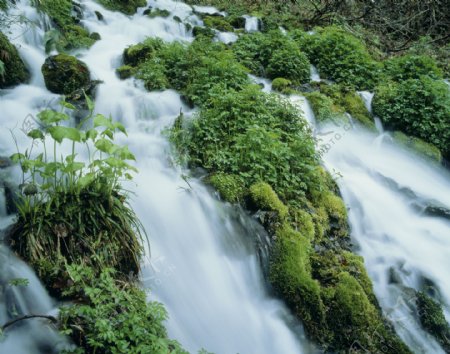 绿树河流瀑布自然景色图片