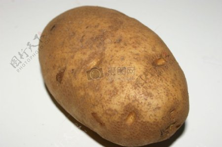 一颗土豆素材