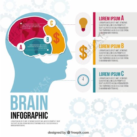 三阶段大脑的信息图表模板