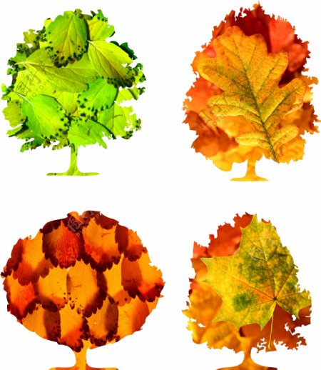 树叶与树创意图案图片