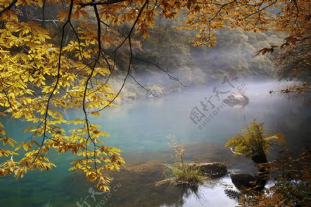 秋天起雾的湖水风景图片