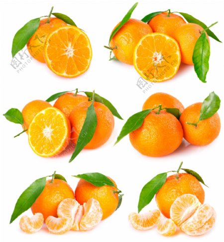 黄色橙子图片