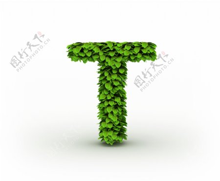 绿叶组成的字母T