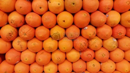 排列整齐的橙子