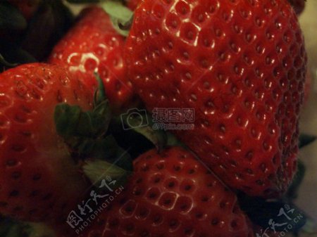 红色的草莓素材