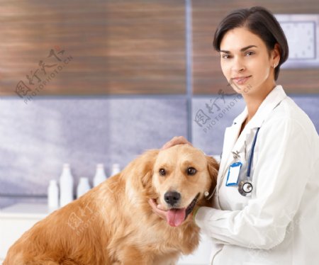 美女兽医与小狗图片